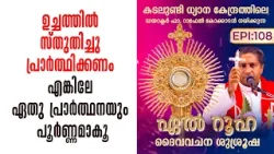 ഉച്ചത്തിൽ സ്തുതിച്ചു പ്രാർത്ഥിക്കണം എങ്കിലേ ഏതു പ്രാർത്ഥനയും|El Ruha EP108 |Fr. Raphael |Shalom tv