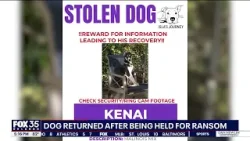 Stolen dog returned safely after being held for ransom