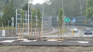 New greenery at the Niedzieliska roundabout. Trees have been planted