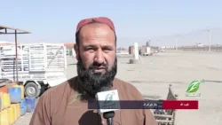 افغانستان د ټولو افغانانو کډ کور دی