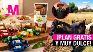 From feeding goats to savoring tradition: What it's like to spend an afternoon at the artisanal c...