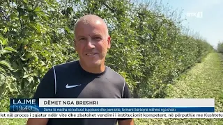 Dëme të mëdha në kulturat bujqësore dhe pemishte, fermerët kërkojnë ndihmë nga shteti