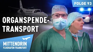 Organ Transplant Transport – Night Operation at the Airport | In the Thick of It - Frankfurt Airp...