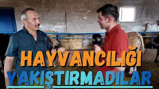 Farmer TV