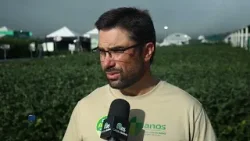 ExpoAgro Cotricampo chega a 10ª edição