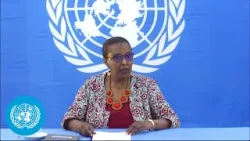 Central African Republic: Milestone in consolidation of peace process - Briefing | United Nations