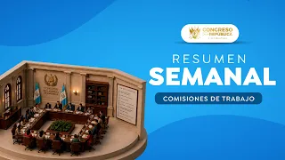 Así trabajaron las comisiones de #TrabajoLegislativo durante la semana. 28-8-2026