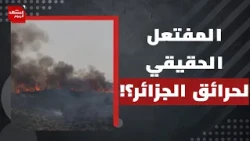 Algeria's wildfires: Do accusations against external parties mask domestic failures? | Al-Mashhad...