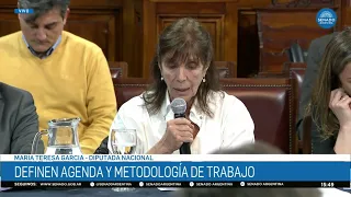 MARIA TERESA GARCIA – BICAMERAL LEGISLATIVE PROCEDURE 01-09-26