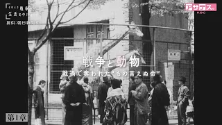 80th Anniversary of the End of the War Special: "When War Was Part of Daily Life" - Chapter 1: Wa...