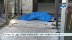 Milano, la Lega chiede più dormitori per clochard con cani Milano, la Lega chiede più dormitori per clochard con cani