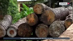 À la scierie de Papara, la valorisation énergétique des déchets du bois est en route