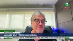 Lavouras de soja podem aumentar nos EUA