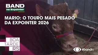 Mário: The heaviest bull at Expointer 2026