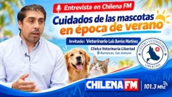 20 OCT 2026 Veterinario entrega recomendaciones para el cuidado de perros y gatos durante el verano