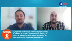 National Geographic financiará estudio sobre la crianza de camélidos en Tarapacá