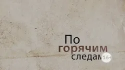 Криминал недели в программе «По горячим следам», выпуск 5 февраля