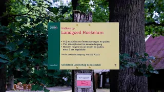 Council: Ede municipality must address the loss of off-leash dog areas