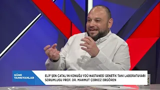 GÜNE YANSIYANLAR - PROF  DR  MAHMUT ÇERKEZ ERGÖREN