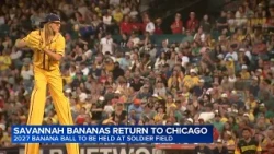Banana Ball coming to Chicago's Soldier Field in 2027 with Savannah Bananas facing Party Animals
