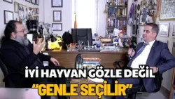 İyi Hayvan Gözle Değil, GENLE Seçilir!