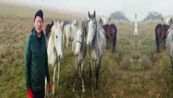 Život u ritmu kopita