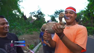 Serunya Pacu Itiak | JEJAK SI GUNDUL (14/08/26)
