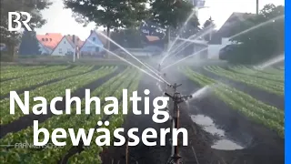 Gemüseanbau und Wasserversorgung: Nachhaltig bewässern im Knoblauchsland | Frankenschau | BR