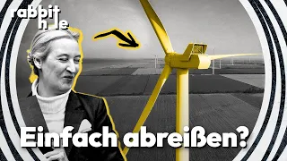 Warum die AfD mit Windrädern auf Stimmenfang geht | rabbit hole