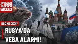 Plague Alarm in Russia? Remarkable Statement from the WHO: "No Evidence of Transmission"