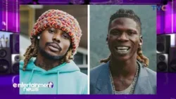 Tiwa Savage Fires Back Critic Over Comment Involving Her Son