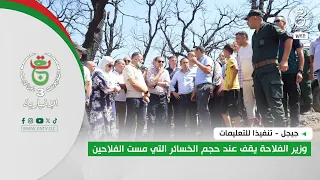 Jijel - Implementing directives: Minister of Agriculture assesses the extent of damage to farmers