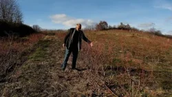 Fermeri Alija: Preferohet që krasitja e bimës të bëhet në vjeshtën apo pranverën e hershme