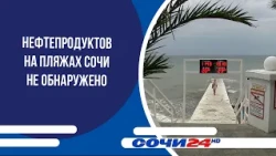 No oil products detected on Sochi beaches