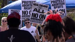 Hundreds gather for rally to protest against Amendment 3