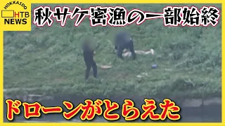 秋サケを密漁する8人組　ドローンが一部始終をとらえる　卵を取り出し魚体を捨てる行為も　北海道幕別町