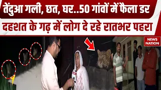 Moradabad Leopard Terror: मुरादाबाद में छतों पर तेंदुओं ने किया कब्जा, लोगों की उड़ी रातों की नींद
