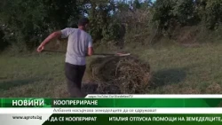 Албания ускорява създаването на земеделски кооперативи