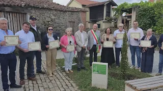 Cipressi pistoiesi lungo il cammino per Compostela