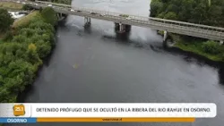 Detenido prófugo que se ocultó en a ribera del Rio Rahue en Osorno.
