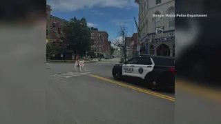 Bangor police bomb squad clears suspicious package found at Pride parade