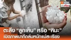 ตะลึงพายุ "ลูกเห็บ" หรือ "หิมะ" เปิดภาพนาทีถล่มหนักแม่สะเรียง | TNN ข่าวเที่ยง | 12-3-69