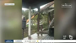 Viewers help family that narrowly escaped injury from Spring Valley falling tree