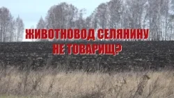 Специальный репортаж «Животновод селянину не товарищ?»