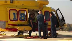 Horse-drawn carriage overturns, two tourists awarded damages