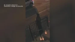 Raccoon casually wanders into NYC church during candlelight service