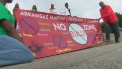 Arkansas MLK. Commission holds anti-bullying campaign at Lincoln Memorial