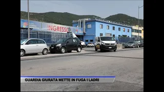 GUARDIA GIURATA METTE IN FUGA I LADRI - SERVIZIO TG DEL 28/08/2026