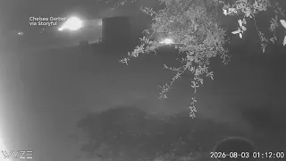 Goose alerts Texas family to barn fire