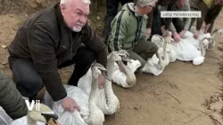 Východočeské zprávy – 17. 3. 2026